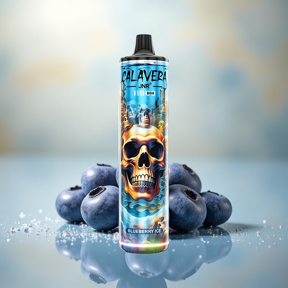 JNR Calavera 11000 Blauwe Bes IJs met Type-C en Mesh Coil