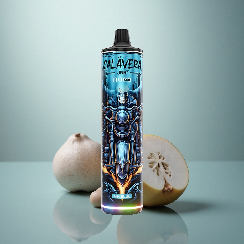 JNR Calavera 11000 Meneer Blauw Type-C 850mAh 21ml Mesh