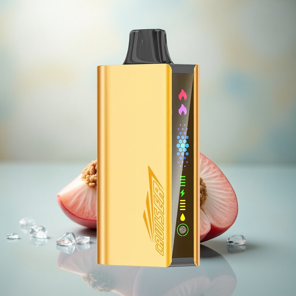JNR Cruiser 12000 Perzijs IJs 3500mAh Metaal Dual Mesh