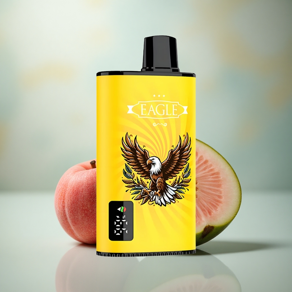 JNR EAGLE Smart 23000 Perzik Mango Watermelon Digitaal Scherm 1.0ohm Mesh Coil