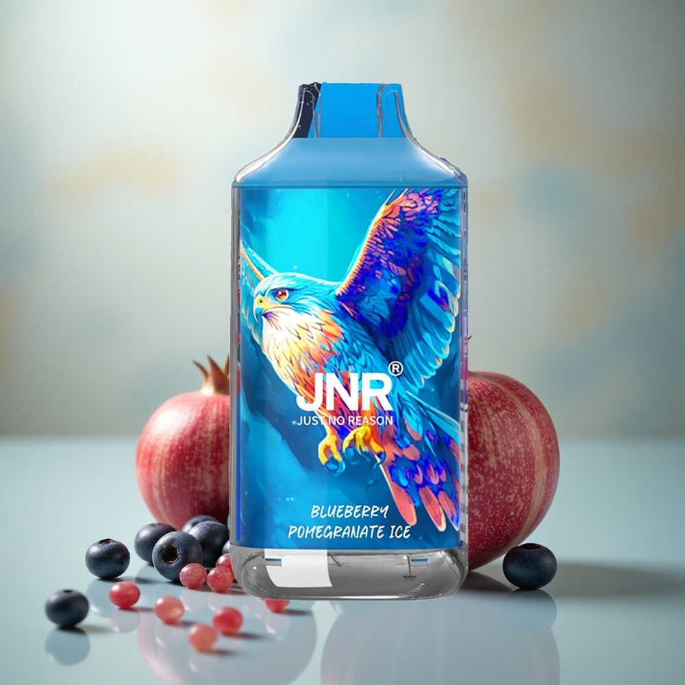 JNR Falcon 16000 Blauwe Bes Granaatappel IJs met Dual Mesh Coil en Smart LED Display