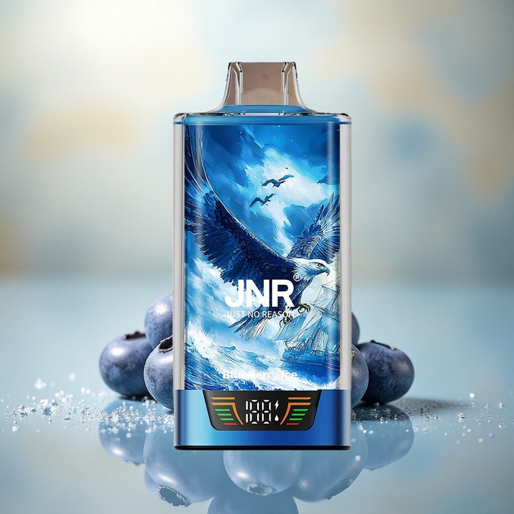 JNR Falcon Pro 28000 Blauwe Bes IJs & Dual Mesh 950mAh