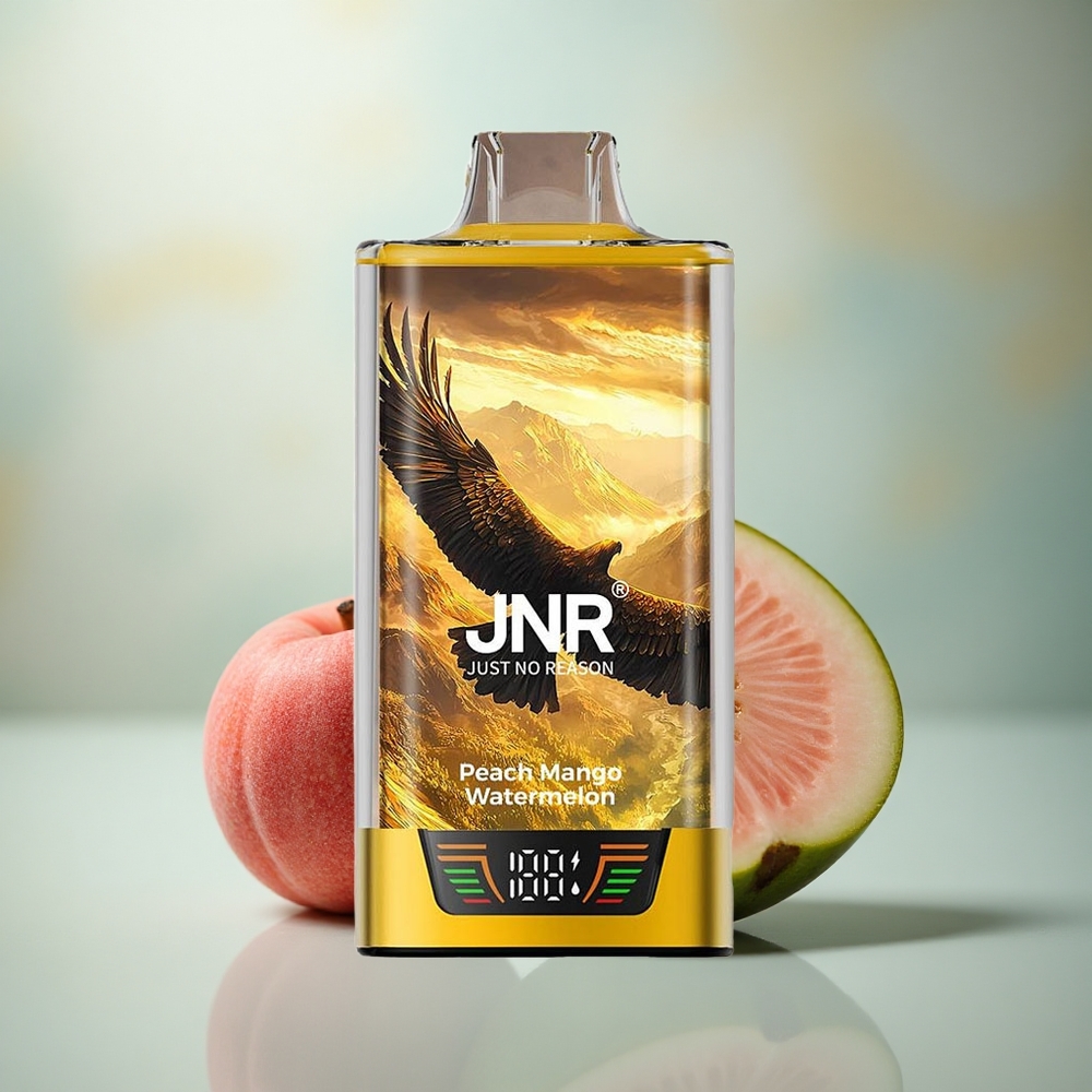 JNR Falcon Pro 28000 Perzik Mango Watermelon 30ml 950mAh Dual Mesh