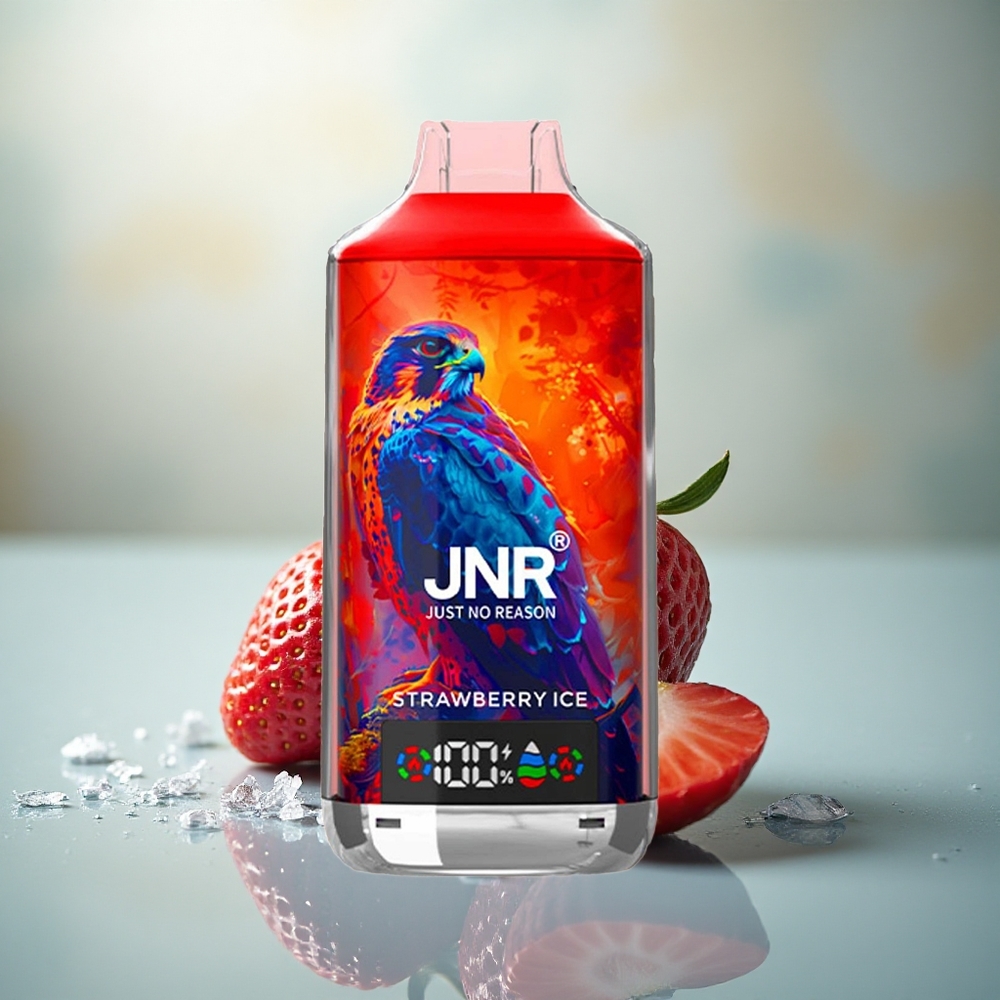 JNR Falcon X 18000 Aardbei IJs Dual Mesh 750mAh Type-C