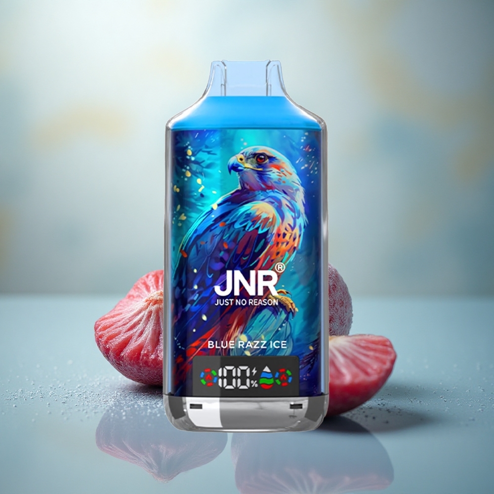 JNR Falcon X 18000 Blauwe Framboos IJs 24ml Dual Mesh Digitale Display Type-C