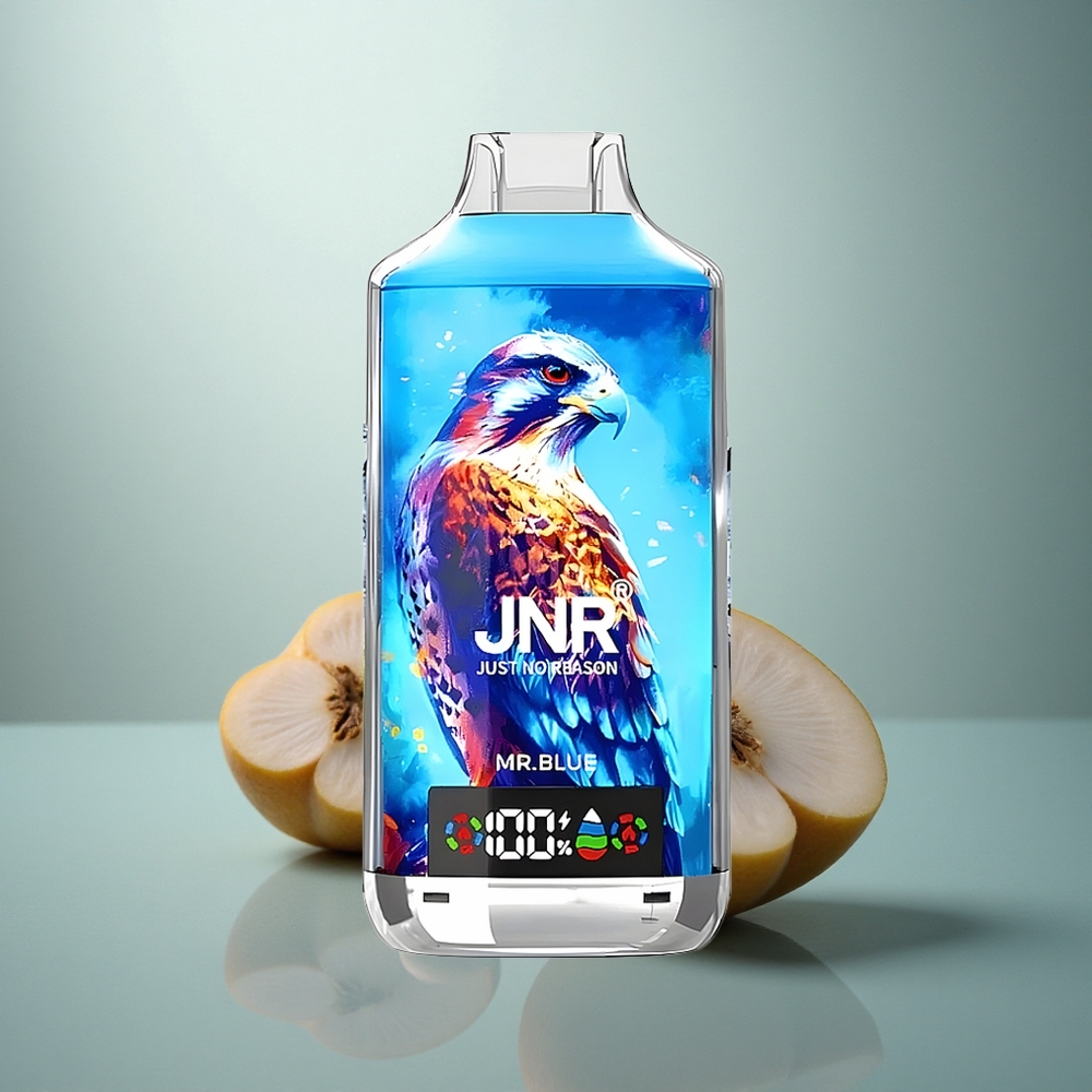 JNR Falcon X 18000 De Blauwe Dubbel Mesh 24ml Type-C