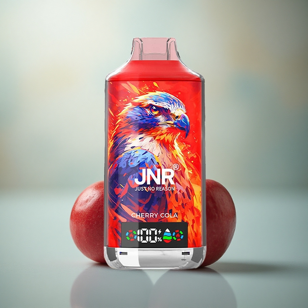 JNR Falcon X 18000 Kers Reden 750mAh 24ml Dubbel Mesh Coil Type-C