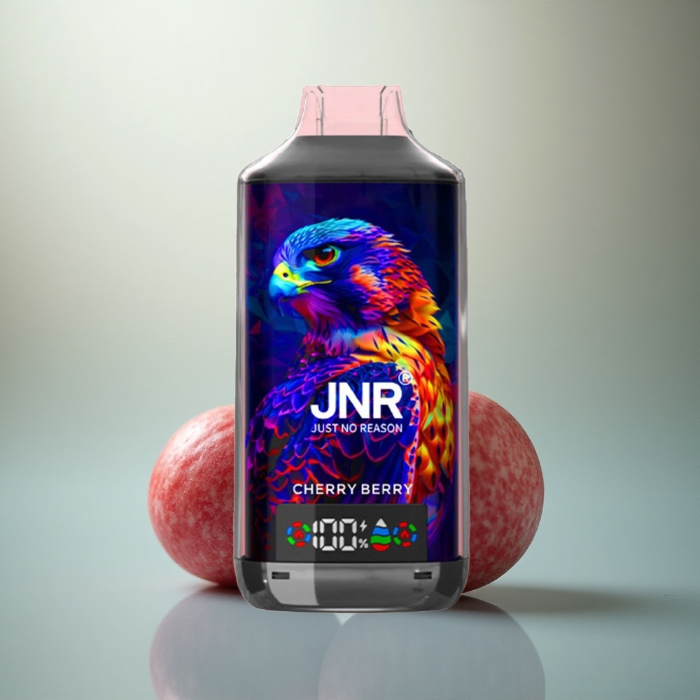 JNR Falcon X 18000 Kersbes Dual Mesh 24ml 750mAh Type-C