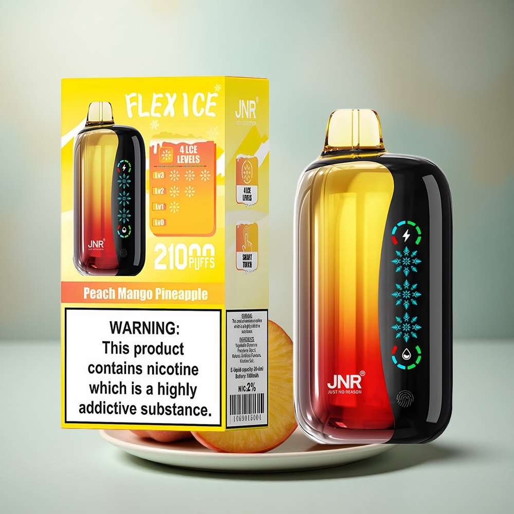 JNR Flex Ice 21000 Perzik Mango Ananas IJs Aanpasbare Dubbele Mesh Type-C Opladen
