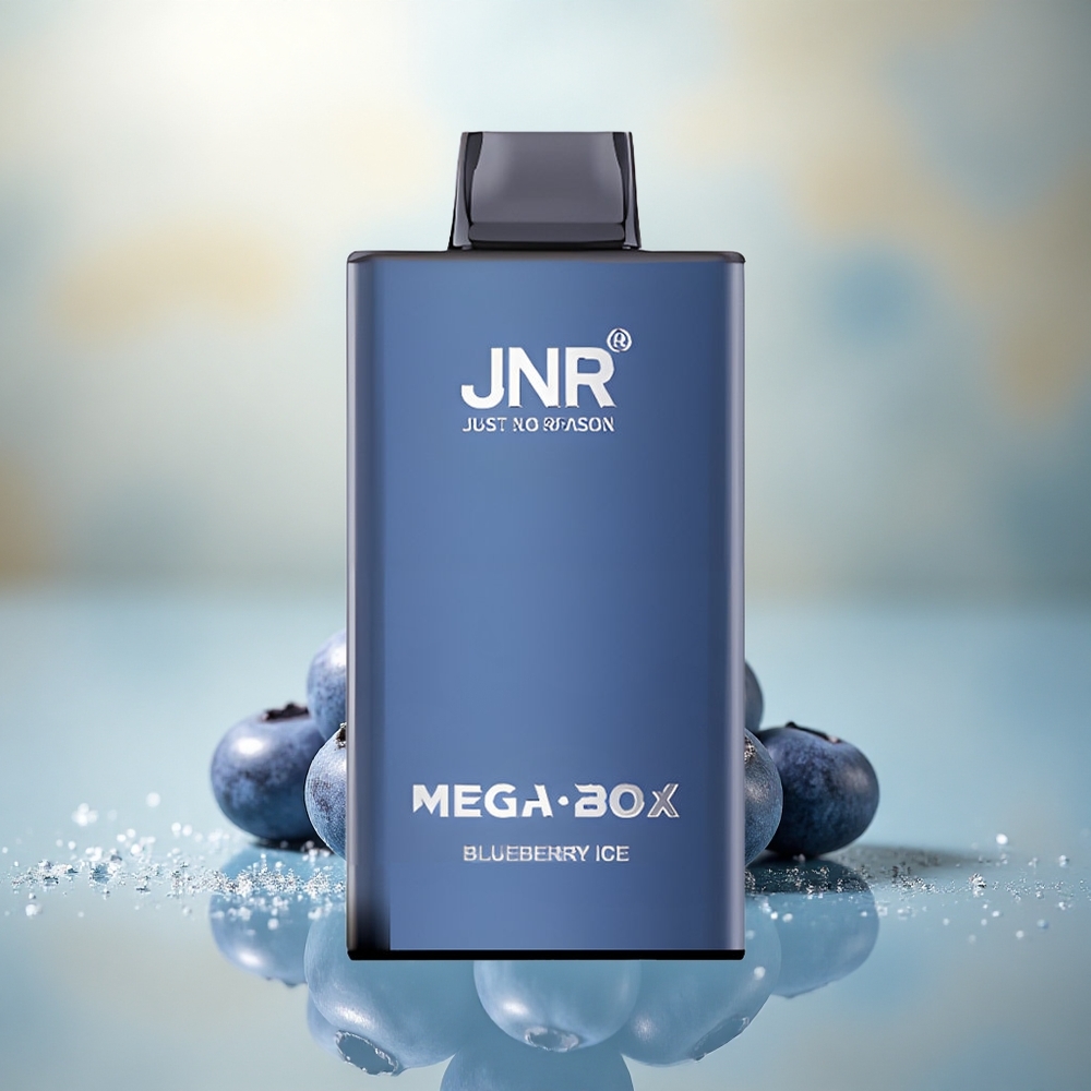 JNR Mega Box 25000 Blauwe Bes IJs Dual Mesh & Type-C