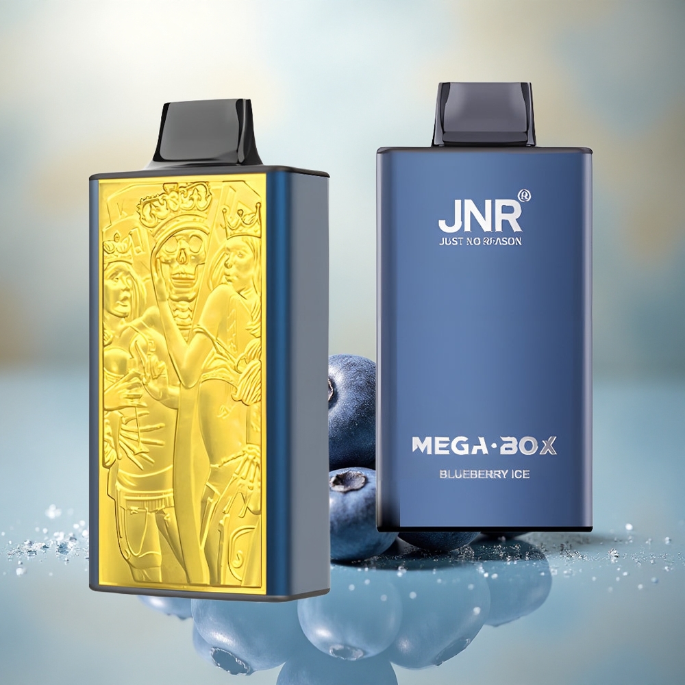 JNR Mega Box 25000 Blauwe Bes IJs Dual Mesh & Type-C