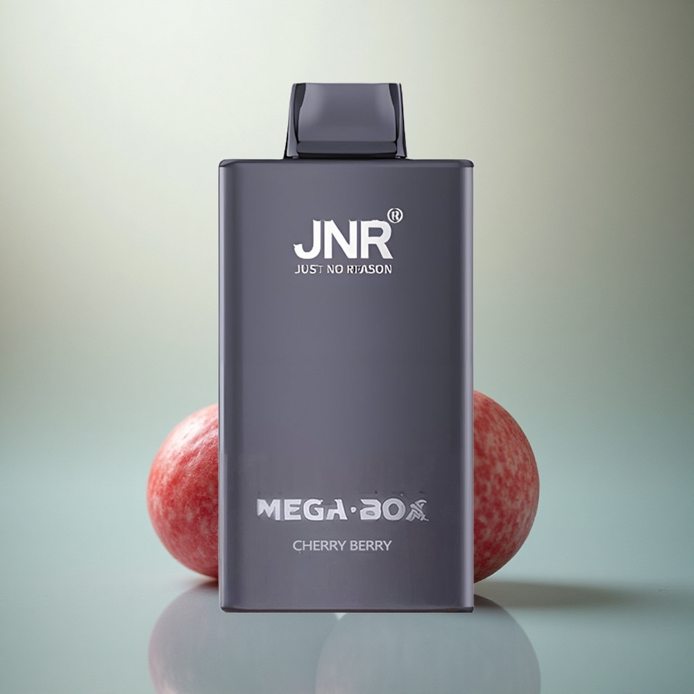 JNR Mega Box 25000 Kersbes Dual Mesh & Type-C Snelle Lading