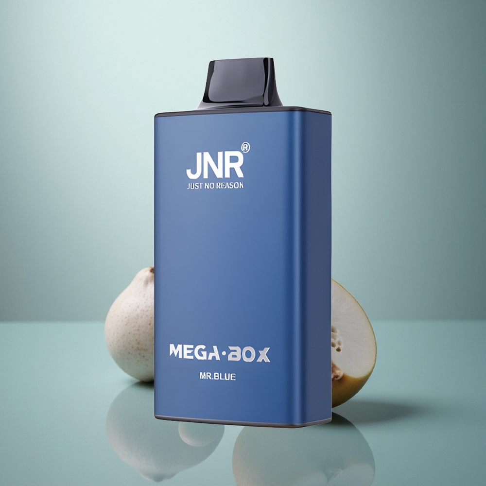 JNR Mega Box 25000 Mr Blauw 30ml Dual Mesh Type-C