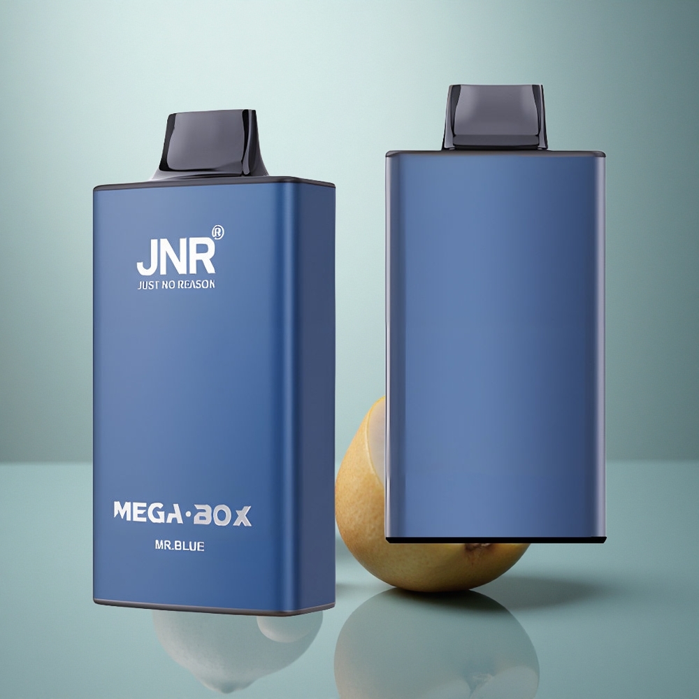 JNR Mega Box 25000 Mr Blauw 30ml Dual Mesh Type-C