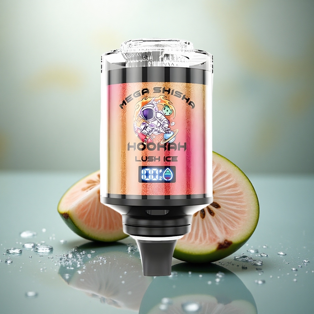 JNR Mega Shisha Hookah 100K Frisse IJs Type-C Snel Oplaadbaar 2200mAh