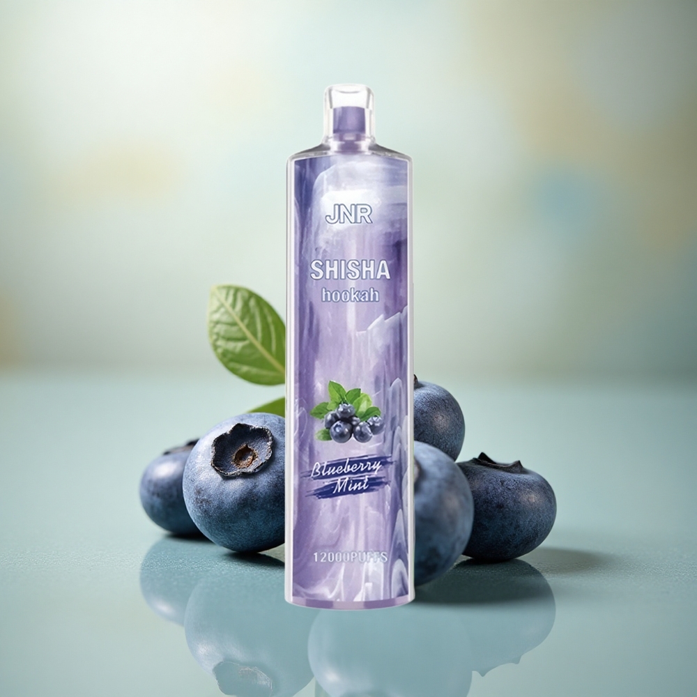 JNR Shisha Hookah 12000 Blauwe Bes Munt 12000 Puffs 24ml Type-C