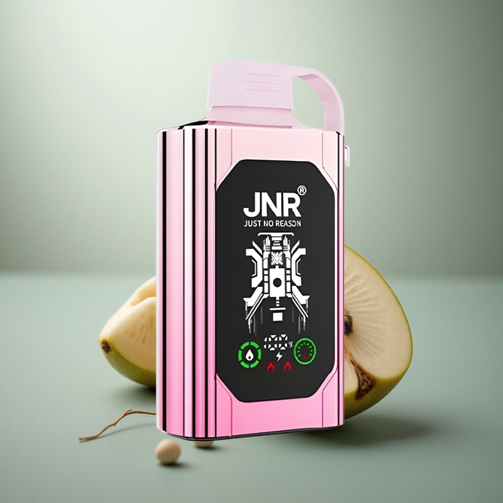 JNR Shisha Hookah Box 20500 Dutch Vrouwenmoordenaar HD Type-C Dual Mesh Shisha Box 25ml 1000mAh