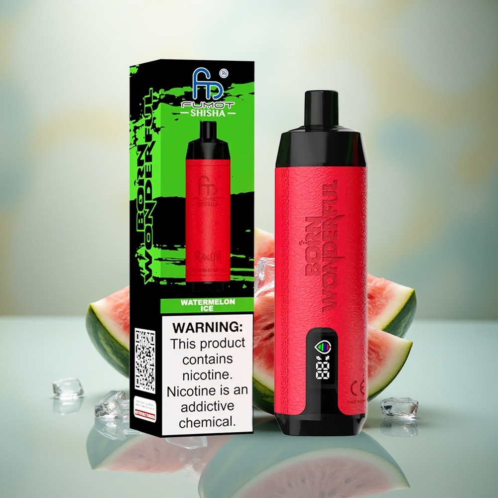 RandM Fumot Shisha 10000 Puffs Watermeloen IJs Type-C LED